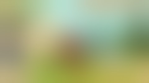 Axe clicker| funny Oswald are chopping in invisible tree (extended) (2)