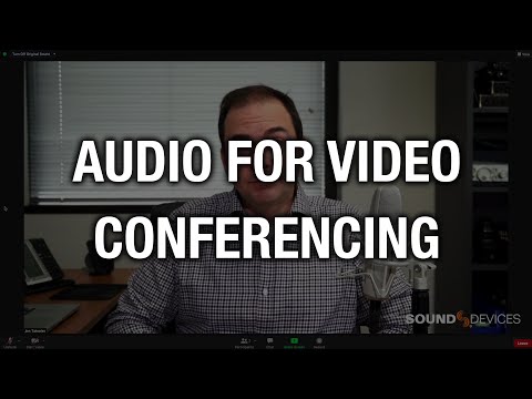 Audio for Video Conferencing