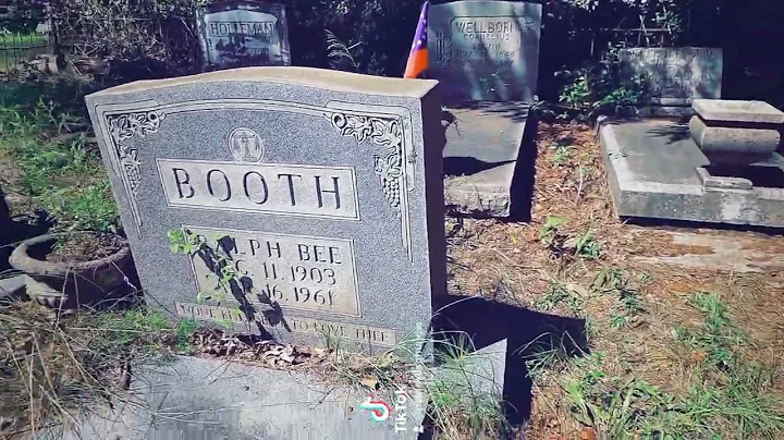 Wellborn Cemetery, Warner Robins, Georgia, Urban e...