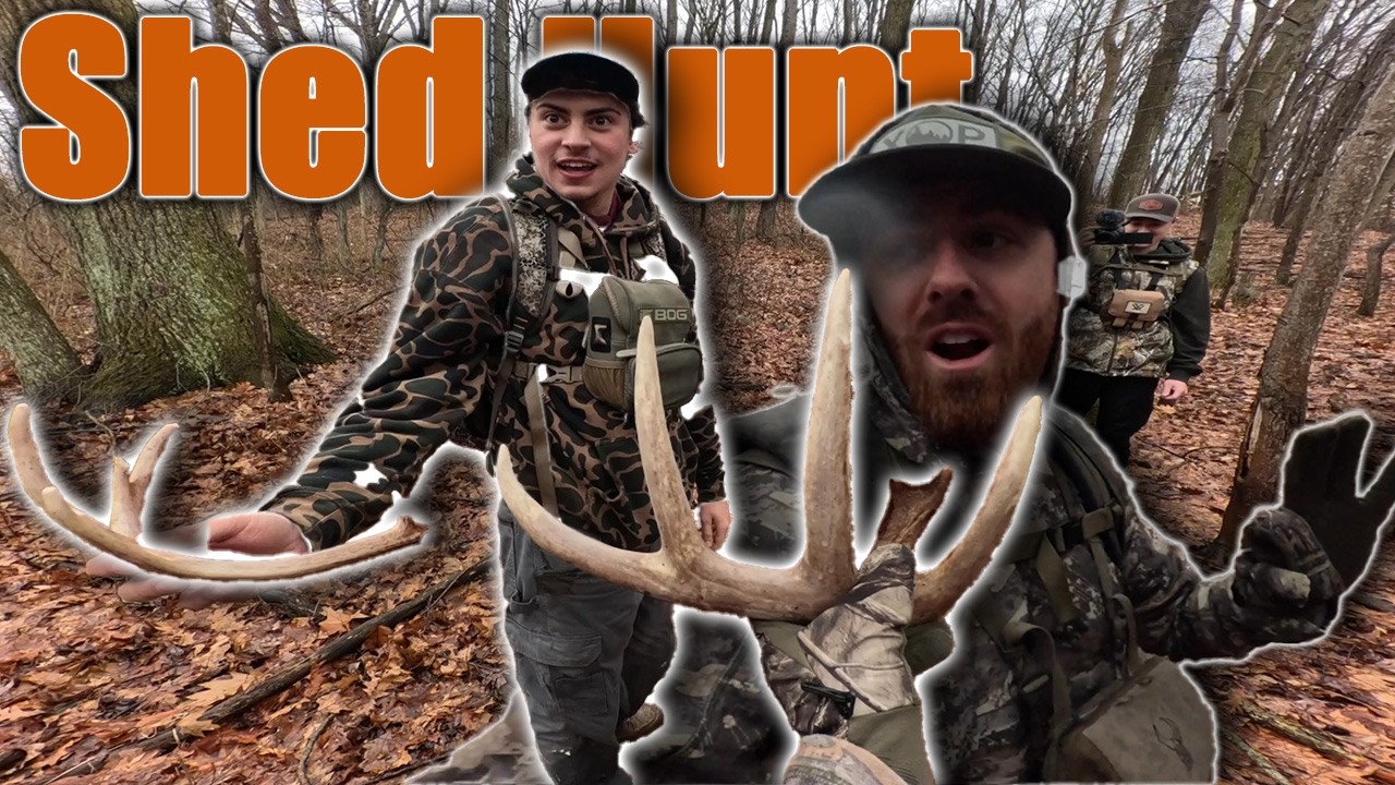 Rainy Shed Hunt Leads to a GIANT Antler!