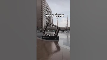 #قرآن #راحة_نفسية #تلاوة_خاشعة #صوت_جميل #اكسبلور #المصحف #حالات_واتس