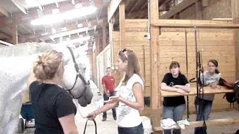 Join The SIUE Equestrian Club!