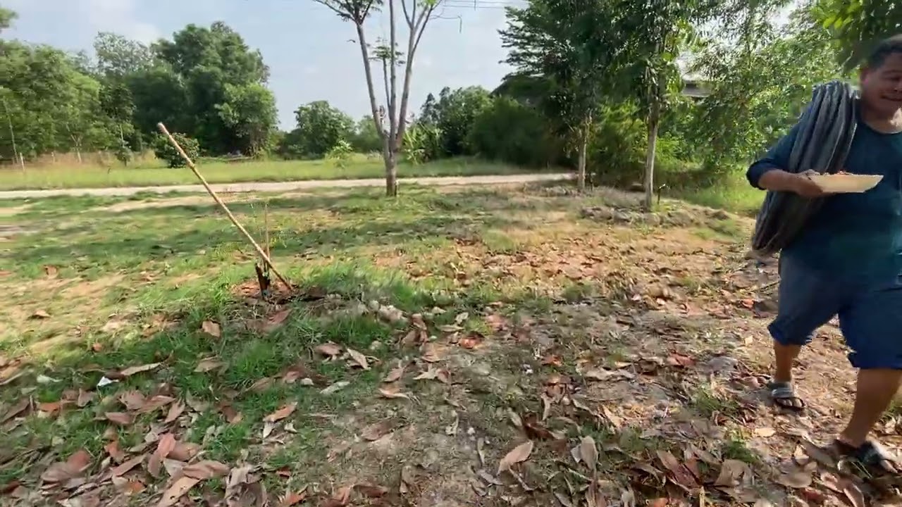 8Apr2567 ทดสอบเปิดปั้มเบนซินรดน้ำต้นไม้ วางระบบน้ำแบบบ้านๆ ทำไปแก้ไป สวน2ไร่