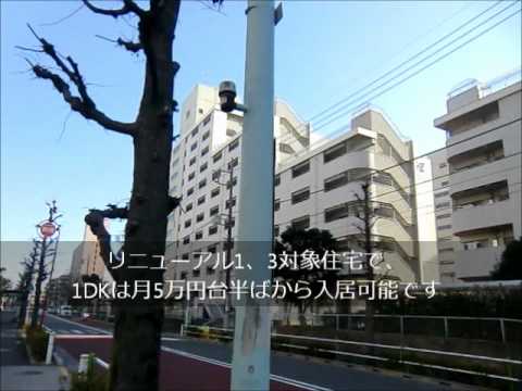 高島平団地ってどんなとこ リノベーション情報館 団地 東京 賃貸 リノベーション情報館