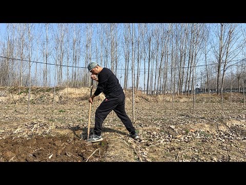 Video: Aqua Farm: Cultivamos Verduras Todo El Año