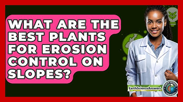 What Are The Best Plants For Erosion Control On Slopes? - Earth Science Answers