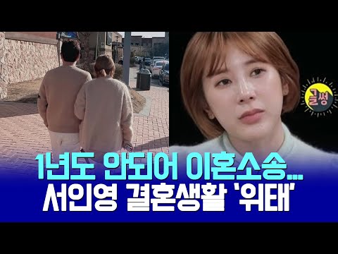 아이는 어쩌고? 서인영, 남편에게 이혼소송 당해