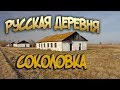 Русская деревня. Соколовка