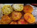 О заказах семян томатов / семена в подарок / скидки