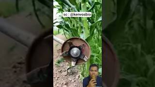 Modern Weed Remover For Smart Farming