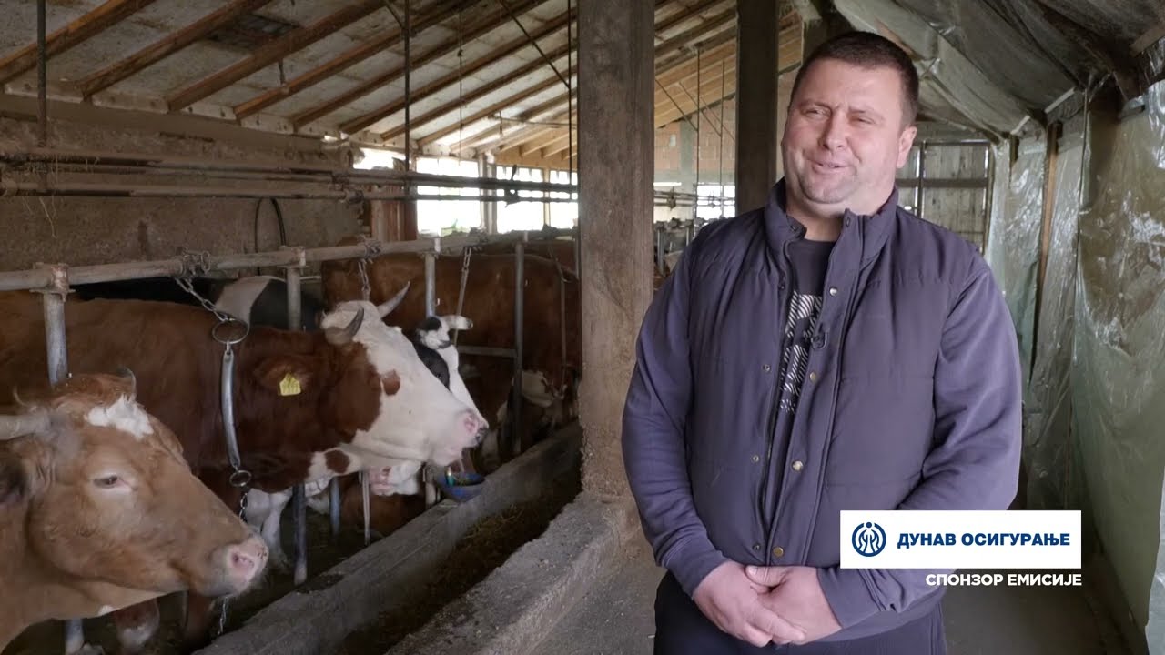 Naša priča ep. 394 16.03.2023. Prislonica, Predrag Živković, mlečno govedarstvo