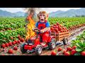 Monkey NaNa Strawberry Harvest Turns CHAOTIC as Tractor Catches FIRE! 😱– NANA MONKEY LIFE