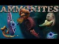 World of AMMONITES