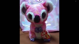 I Finally Got Kacey The Koala My Dream Beanie Boo