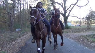 Old Boston Singlefoot Trail Ride on Horseback