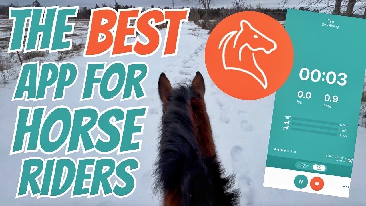 THE APP THAT EVERY EQUESTRIAN NEEDS: Equilab Review + an exciting announcement! 🤩