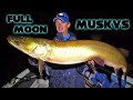 FULL MOON Bucktail Muskys At Moonrise!!