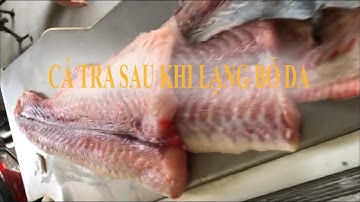 Giải Pháp | Cách Lạng Da Cá Tra - Cá Hồi | Máy Lạng DA