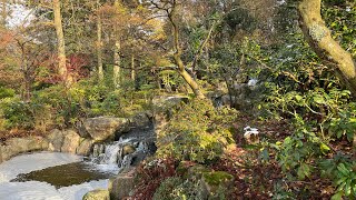 The Japanese Garden in Holland Park in London