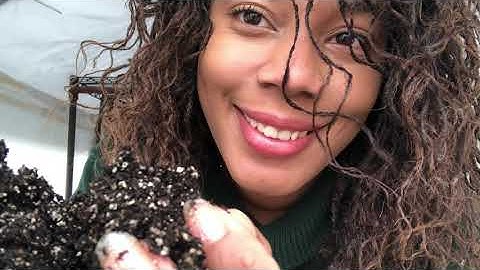 How To Make Your Seed Starting Mix Made Easy Spring Gardening 2022 Budget Friendly