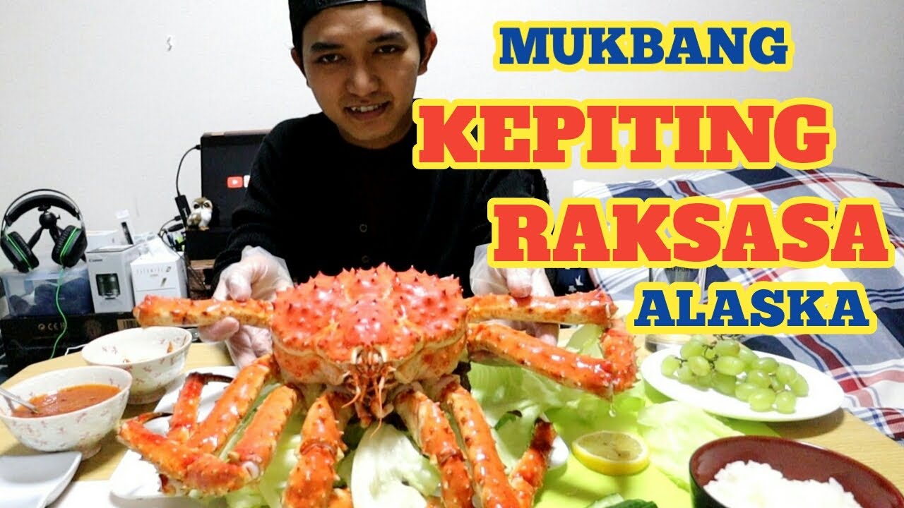 MUKBANG KING CRAB INDONESIA (ALASKAN KING CRAB) YouTube