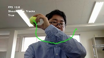 2015-04-08 画像処理（OpenCV）の平均値シフト物体追跡法でテニスボールの軌跡を描く
