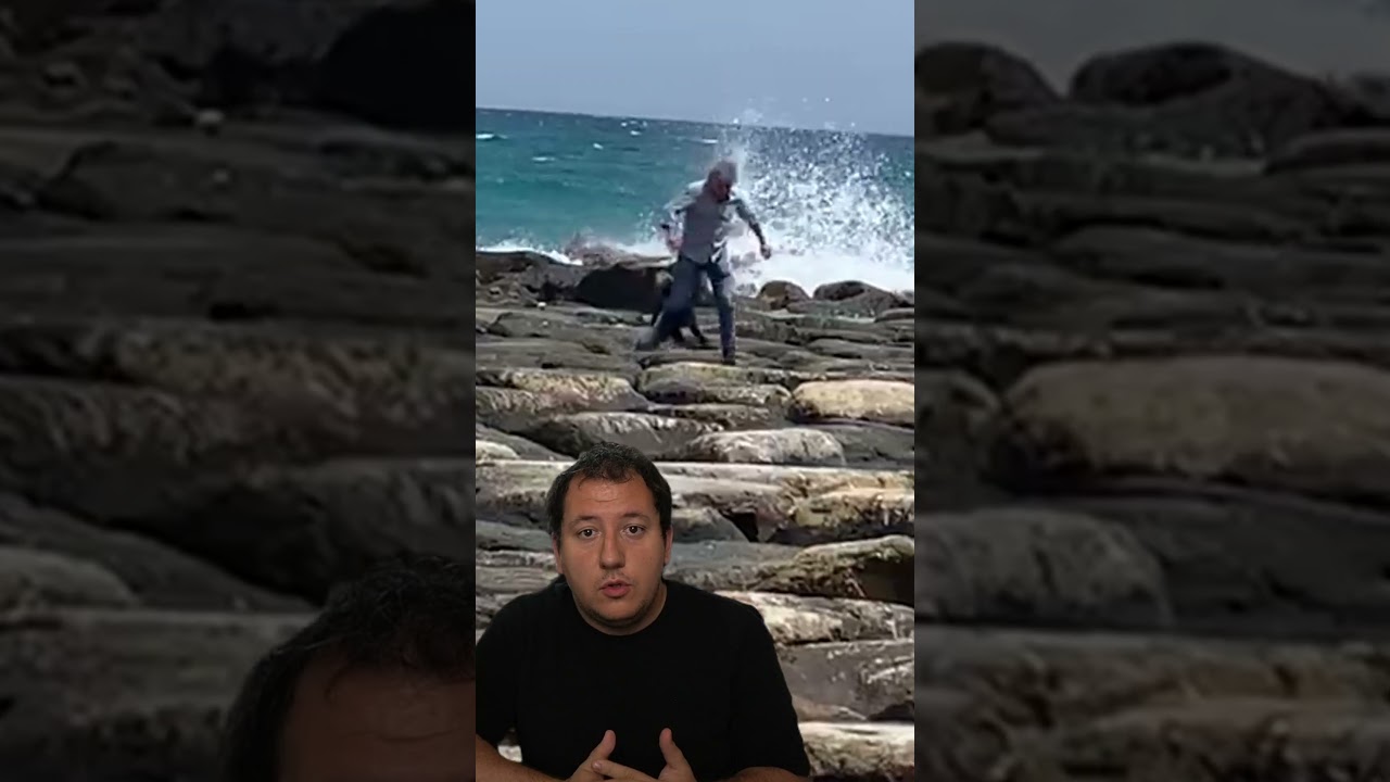 Un jabalí hiere a dos personas en una playa de Alicante