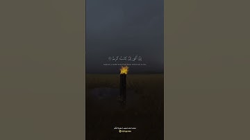 سورة النَّمْل القارئ الشيخ / محمد احمد شبيب