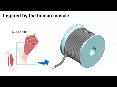 HFAM Soft Hydraulic