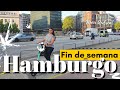 Que hacer en HAMBURGO en un fin de semana | tienes que probar los fischbrötchen