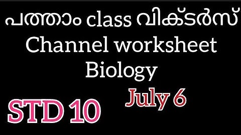 10th class victers channel worksheet/biology/july 6