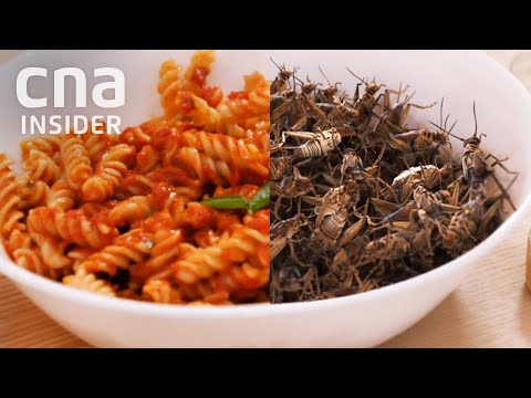 Video: Soon People Will Be Eating Insects, Algae And Test Tube Meat - Alternative View