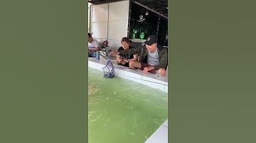 Câu tôm càng xanh tại nhà hàng Boss