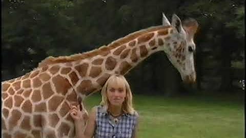 Original VHS Opening & Closing: Michaela Strachan: Wild About Baby Animals (UK Retail Tape)