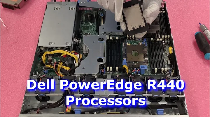 Serveur Dell PowerEdge R440: Installation Processeurs