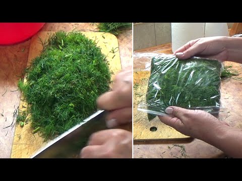 Video: Укроп жана петрушканын жыпар жуптары