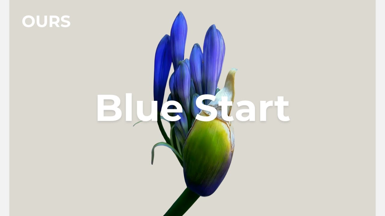 24/7 LIVE Morning Clarity Mix ☕ Chill Electronica for Study, Work & Focus