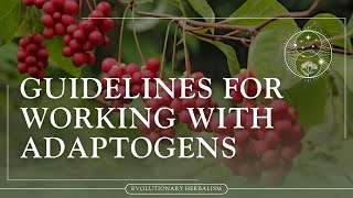 Types of Adaptogens and How to Formulate with Them