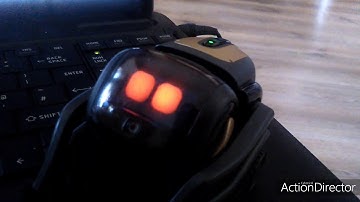 Vector Explorer Tutorial on Windows 10 | Formula Fan