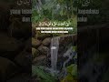 quran day, masya allah #quran #tilawatequran #quotes #motivation