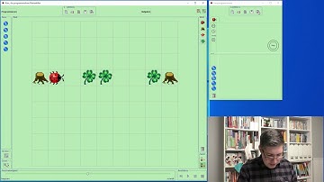 (Informatik) Anleitung für Kara den Marienkäfer