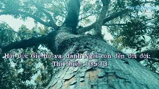 hok mơăk amăng khua Yang.