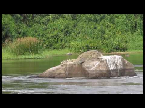 Safari in Uganda