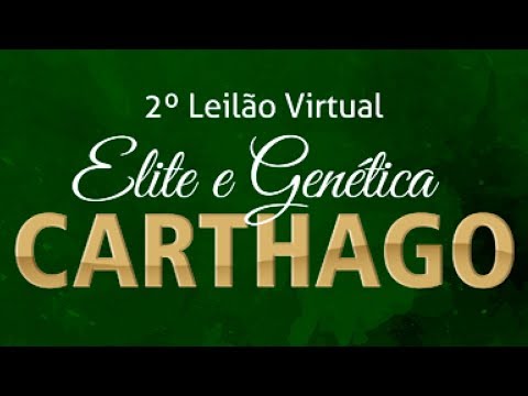 Lote 31 (Santo FIV Carthago - CTHG 202)