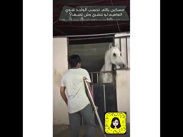 مسكين ياللي تحسـب الواجـد شـوي Youtube