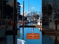 Dock Drama! #sailing #boatlife #jacksparrow #pumpfaster! #portlandfreeze