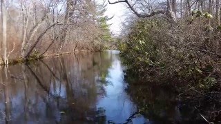 Bayard Cutting Trail - Jacoo -Andromeda