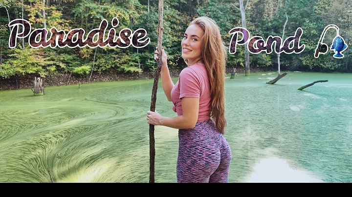 FISHING PARADISE POND - CATCHING BASS ON A WOODEN ...