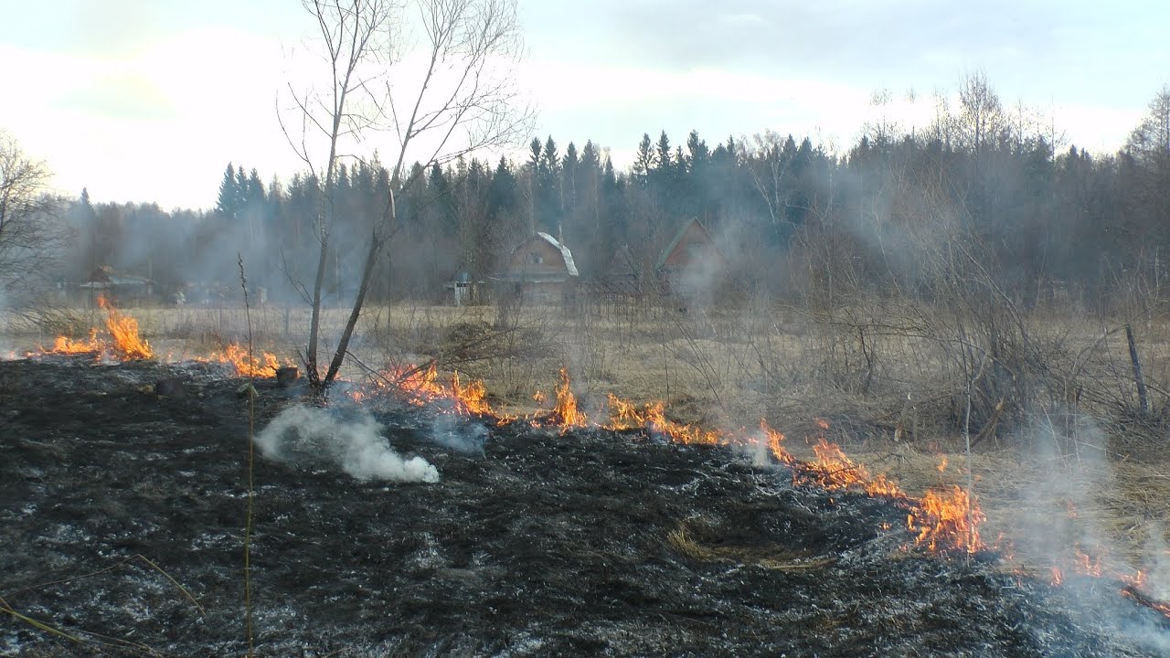 Пал гг