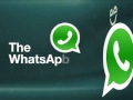 Cheers IM 1 Whatsapp Status Video Download Free